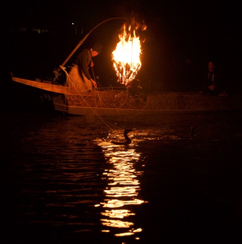 Cormorant fishing